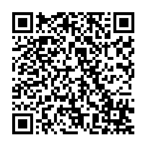 妮娜转过头看了眼正笑眯眯的撑着下巴好像真的在欣赏电影一样的白兰二维码生成