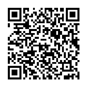 妾身一想到你那个时候看妾身可能会出现的眼神就害怕二维码生成