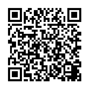 妾身本体乃是y阳本源交汇之地诞生的一株y阳雷木二维码生成