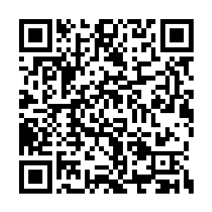 妾身本要前往五灵城参加紫幽派入门选拔的散修二维码生成