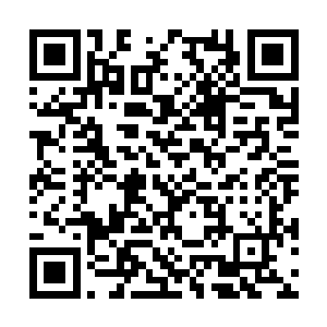 始终拉住徐凤年不放的澹台长安转头一脸受伤表情二维码生成