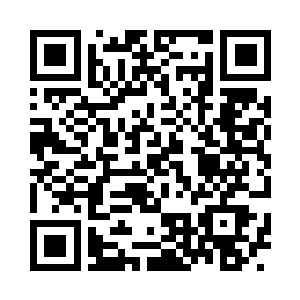 始终聚精会神在旁边研究地上的蚂蚁二维码生成