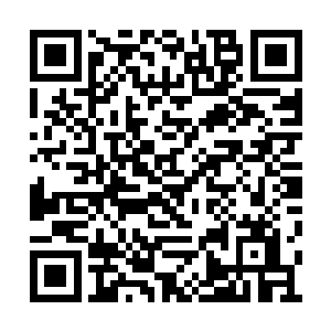 姐决定今年寒假把叶天启给俘虏在姐的石榴裙下二维码生成