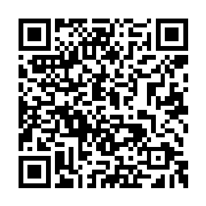 姐妹两人一起和陈凌来到了莫春娇所在的气泡内二维码生成