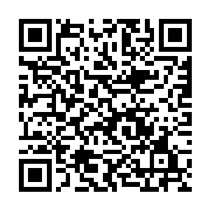 姐妹两人联手就补足了现在方舟内部力量不足的漏洞二维码生成