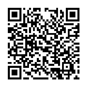 姐妹几个除了公司给的那一点少到可怜的月薪之外二维码生成