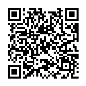 姐姐和慕初夏那个贱女人轻而易举可以拥有的男人二维码生成