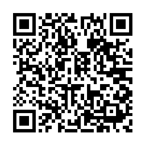 姐姐更是义无反顾地爱上了那个人面兽心的男人二维码生成