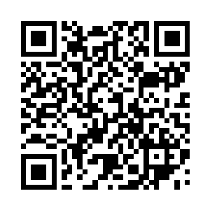 姑娘您是帝国四大超级隐世家族苏家人二维码生成