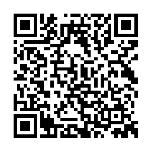 姑爷和我父亲在酒席上就已经商定了你我的婚事二维码生成