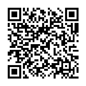 委托一个专业的公司来场全美主要城市的免费展览二维码生成