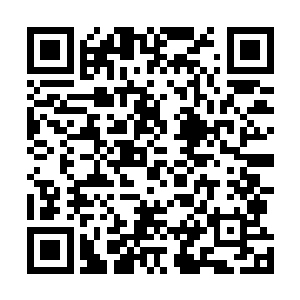 委托我护你安全的人说你继母这次害你不成肯定不会罢手二维码生成