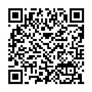 姚以价的标统则由另外一个光复会员杨彭龄接任二维码生成