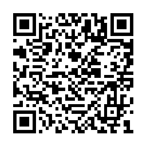 姚先生是觉得为何这天下除了凉莽边境狼烟四起二维码生成