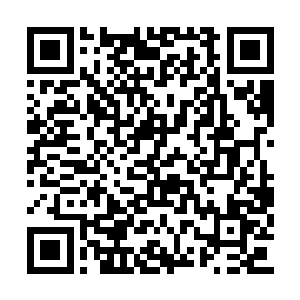 姚大老爷可知道朝廷的巡漕御史已经来到南直隶二维码生成