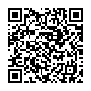 姚文昌就干了驴车到新安县卢家和姚翠芬几家去报喜二维码生成