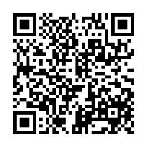 姚氏就觉得抚在自己背上的手怎么感觉不对劲呢二维码生成