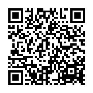 姚氏终于把那样冰冷的目光从凤羽珩身上收了回来二维码生成