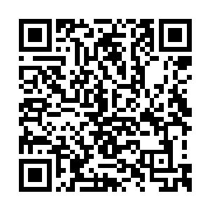 姚满屯和姚若阳一大早就到老宅请姚正中和苗氏二维码生成