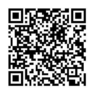 姚满屯和姚若阳带着江明江远几个正忙着清理院子里的雪二维码生成