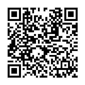 姚艾伦和陈秀正在忙碌着他们的项目・在另外一边二维码生成