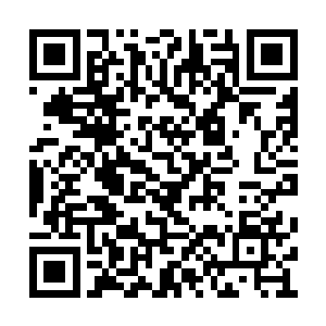 姚若溪和王玉花几个一直把几人送到村外大路上二维码生成