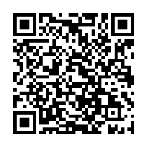 姚若溪照旧戴上比她脑袋大一圈的草帽子去后院拔草二维码生成