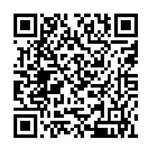 姜婷婷终于在参赛选手那一栏看到了自己的弟弟二维码生成