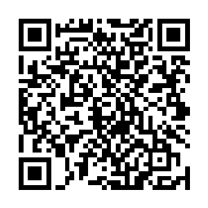 姜子雄见到家族所有的修士都已经进入到护族大阵之后二维码生成