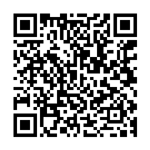 姜家修士已经听到了四周传来的妖兽的吼声和家族修士的哀嚎二维码生成