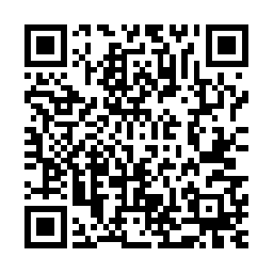 姜家和项家完全忽视了许家在实际上是具备凌厉的反击能力的二维码生成