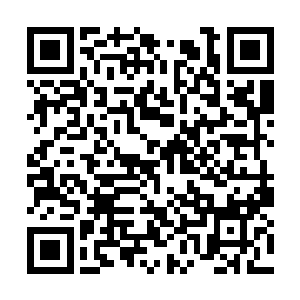 姜维和陆逊两队人马皆遭到了八岐神教死士的行刺二维码生成