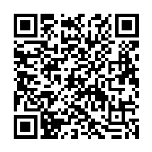 姜雨宏立刻就感觉自己的魔气好像是水泼进了烈火之中二维码生成