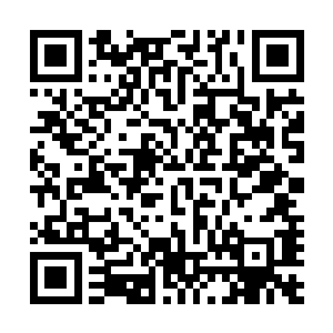 姬圣杰也是在看守所里遇到一个被羁押等待判决的老盗墓贼二维码生成