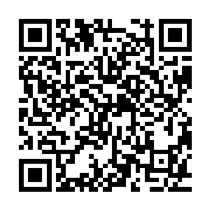 姬月蓝和姜若馨的话让阴阳宗的几个首脑人物的脸色都变幻起来二维码生成