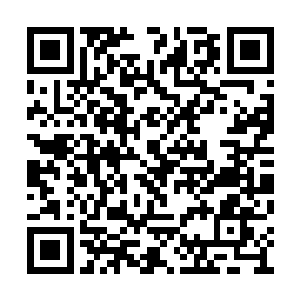 姬沨珑的视线很快就移到了絮怀殇腰间的双刀上二维码生成