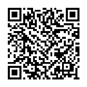 姬玟……集聚了景横波带出帝歌的所有亲信朋友二维码生成