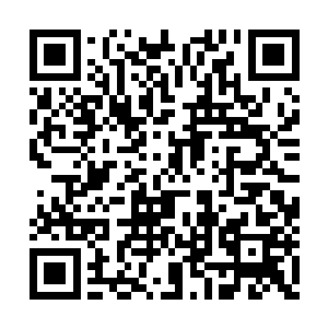 姿势端正的端着两盘看起来美味的点心和下午茶二维码生成