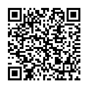 姿色仅算清秀的女子确有那种一夫当关万夫莫开的宗师风范二维码生成