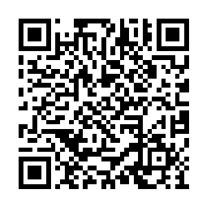 威严峰竟然派出一个名不见经传的金仙真传弟子二维码生成