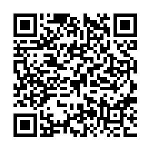 威严的吼声顺着气数金龙传遍了阎罗殿的势力范围二维码生成