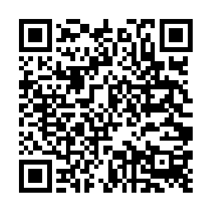 威力却是不凡了――这是感受到有劫气就开始准备了二维码生成