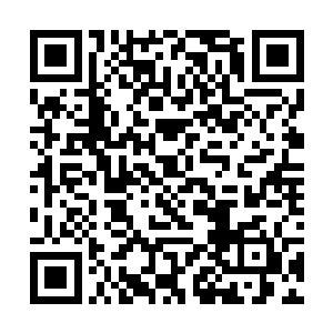 威力那么大的火龙鞭岂不是会将人身上的肉全都抽没二维码生成