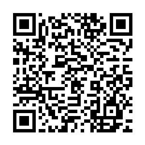 威力都极其强大的招数在这些丹药面前都是显得没有多少的用处二维码生成