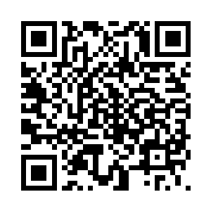 威廉王也听见了来自于陈小练百人队的歌声二维码生成