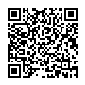 威廉王正在收拢着退回到自己阵列前的己方的败军二维码生成