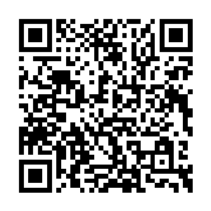 威风凛凛的白龙一出现就震得整个山洞晃动不休二维码生成