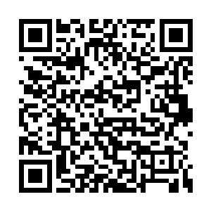 娄书记很快便表达出了对雷欢喜的全力支持态度二维码生成