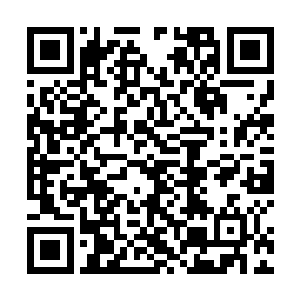 娄书记本来已经多少平息下去的怒火一下又被激出来了二维码生成