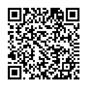 娇娇忐忑不安的心也因为倪子昕对她的温柔而放下了二维码生成